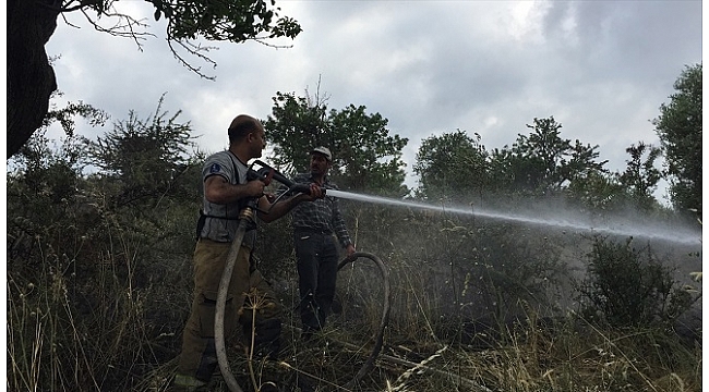 Tire’de makilik alanda çıkan yangın söndürüldü.
