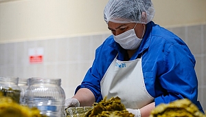 Turşu ihracatı, Kovid-19 etkisiyle rekora koşuyor