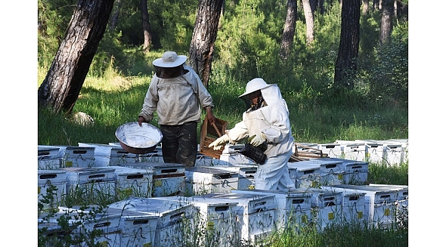 Yaşlı ve hasta bal üreticilerinin "kovan izni" sevinci