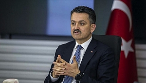 "Yetiştiricilerimize hayvan başı 65 lira yem desteği veriyoruz"