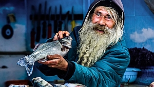 Balıklar oltaya değil, objektiflere takıldı