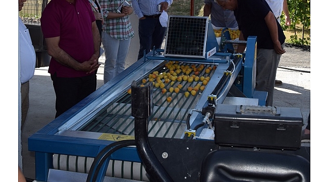 Celep: "TMO işbirliği kayısıya değer katacak"