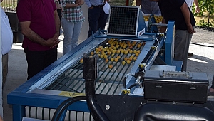 Celep: "TMO işbirliği kayısıya değer katacak"