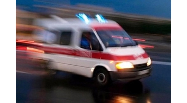Hayvan otlatma yeri kavgası:1 ölü