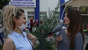 İzmir'de YKS heyecanına papağan "Paşa" da dahil oldu