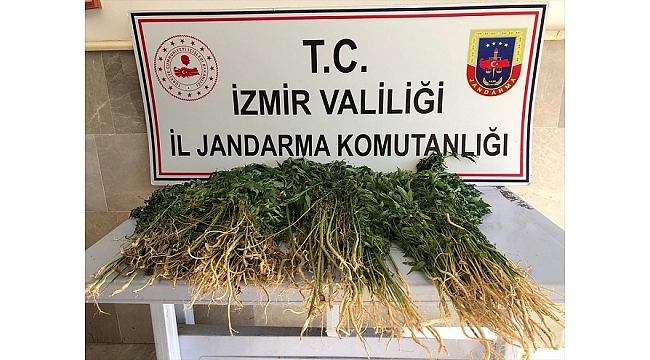 Jandarma'dan Droneli Operasyon
