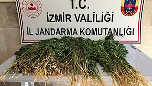 Jandarma'dan Droneli Operasyon