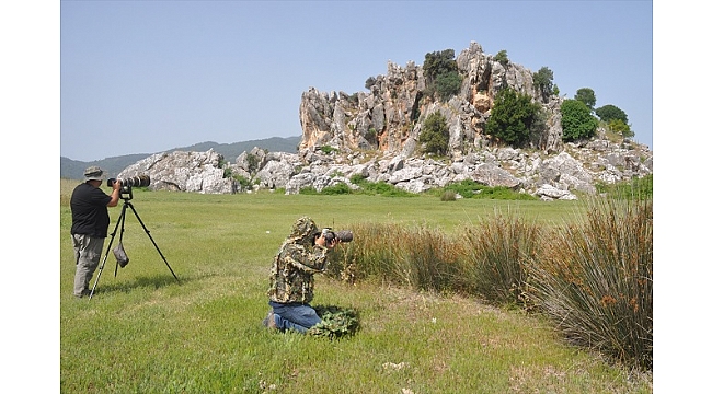 Kuş gözlemcilerinin uğrak yeri