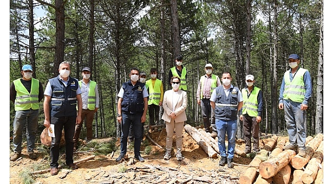 Orman yangını gözetleme kulesinde incelemelerde bulundu