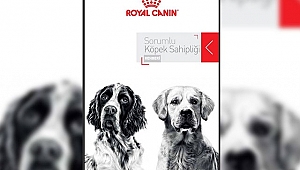 Sorumlu Köpek Sahipliği Rehberi yayınlandı