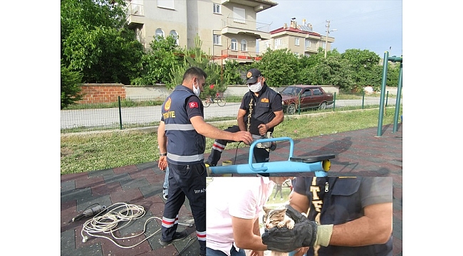 Tahterevallide sıkışan kedi yavrusunu itfaiye kurtardı