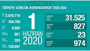 Türkiye'de son 24 saatte 974 kişi daha iyileşti