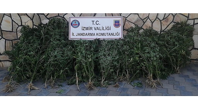 Uyuşturucu operasyonunda 2 şüpheli yakalandı
