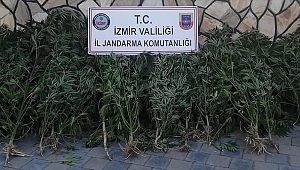 Uyuşturucu operasyonunda 2 şüpheli yakalandı