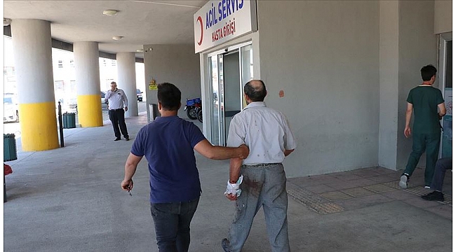 'Acemi kasaplar' hastanelik oldu