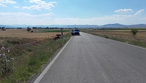 Afyonkarahisar'da traktör devrildi: 1 yaralı