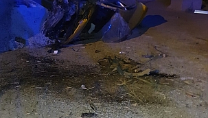 Aydın'da ticari taksi şarampole devrildi: 1 ölü