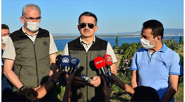 Bakan Pakdemirli: Tüm orman yangınları kontrol altında