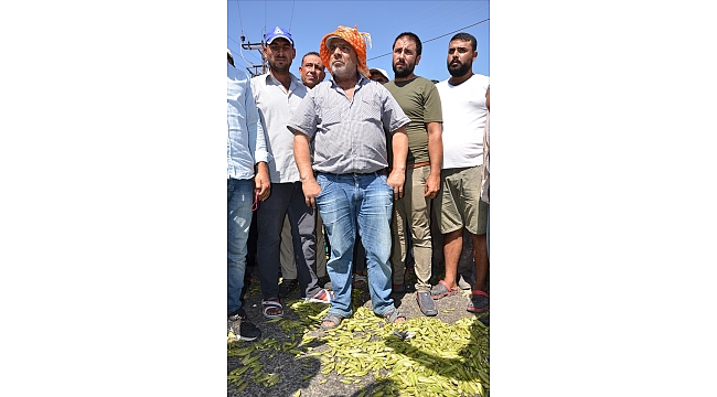 Bamya üreticileri düşük fiyat nedeniyle eylem yaptı