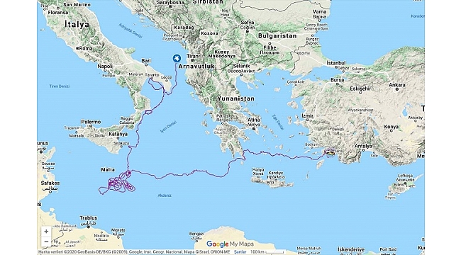 "Caretta Tuba" bir yılda 5 bin 500 kilometre yol aldı