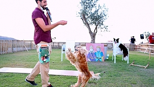 Doğa ve hayvan dostları Bulut Orman Evleri’nde buluştu