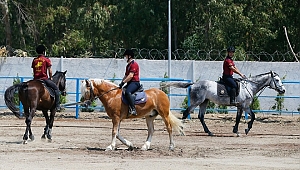 Faytondan