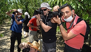 Fotoğraf tutkunları, Sultandağı'ndaki kiraz bahçelerindeki buluştu
