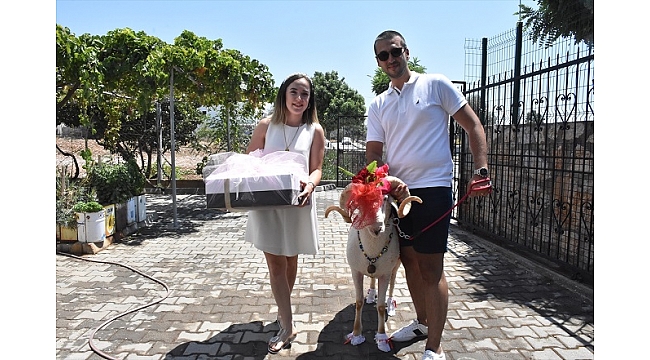 "Gelin koçu" geleneği yaşatılıyor