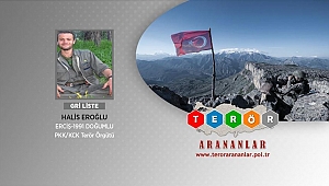 Gri listede aranan terörist Erzurum'da etkisiz hale getirildi