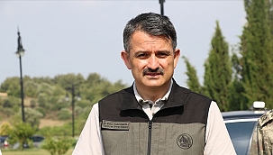 Heybeliada'daki yangınla alakalı 3 gözaltı var