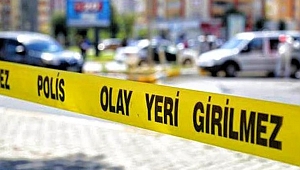 İşi geciktirdiği iddiasıyla tartıştığı ustanın silahla yaraladığı kişi öldü