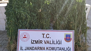 Jandarmanın drone ile uyuşturucu denetimi devam ediyor