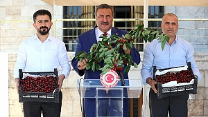 Kiraz ve Patates üreticisi mağdur
