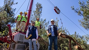 Manisa'da orman ürünleri
