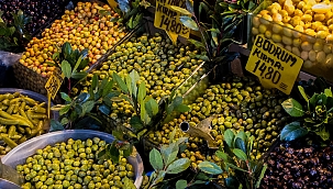 Olive Market Nasıl Bir Firma? Detaylı İnceleme