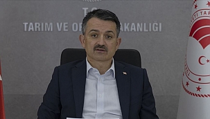 Pakdemirli: 665 bin ton fındık rekoltemiz var