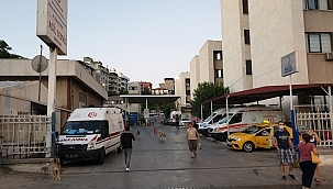 Polisten kaçarken yüksekten düşen hırsızlık şüphelisi yakalandı