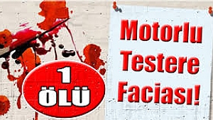 Salihli'de motorlu testere faciası