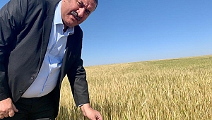 “Tarımda lafla peynir gemisi yürümüyor”
