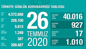 Türkiye'de Kovid-19'dan 209 bin 487 kişi iyileşti
