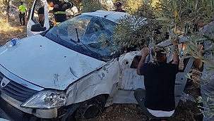 Aydın'da devrilen otomobildeki 2 kişi yaralandı
