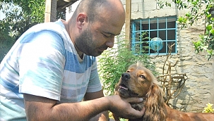Birgi yeni adresi oldu