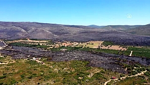 Çeşme'de yanan ormanlık alan havadan görüntülendi
