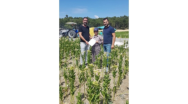 Fen Lisesini kazandığını tütün tarlasında öğrendi