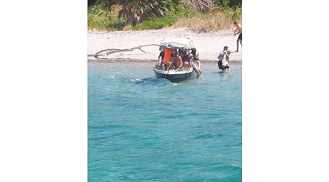 Foça'da facia göz göre göre gelmiş