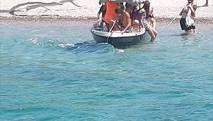 Foça'da facia göz göre göre gelmiş