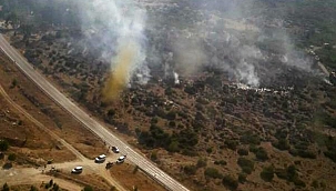 İzmir'de ormanlık alanda çıkan yangın kısa sürede kontrol altına alındı