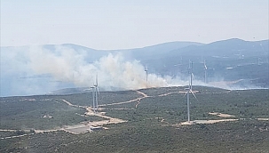 İzmir'in Seferihisar ilçesinde makilik alanda yangın çıktı