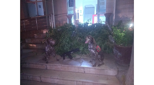 İzmir Jandarması'ndan operasyon