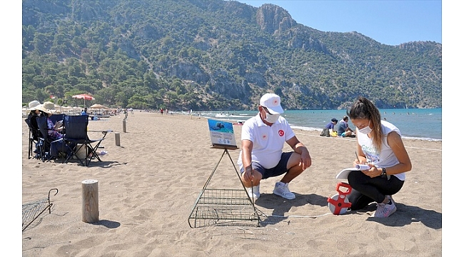 İztuzu Plajı'nda 744 caretta caretta yuvasıyla rekor kırıldı
